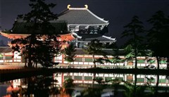 奈良神鹿公园东大寺